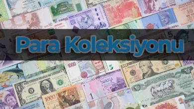 Para Koleksiyonu